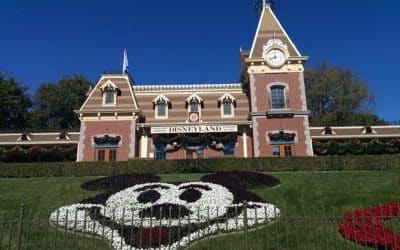 Vacation Travel Innovation: Experience the Wonder of Walt Disney World